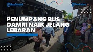 Beberapa Hari Jelang Lebaran, Penumpang Bus Damri di Kaltara Melonjak, Load Factor Capai 100 Persen