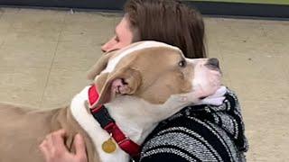 Lost dog's so happy to be rescued