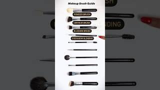 Makeup Brush Guide #viral #makeup #makeuptutorial #viralvideo ##makeuptips #makeupartist