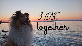 3 years together with Thunder the rough collie 