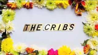 The Cribs - All Leaves Are Butterflies Now TRAILER