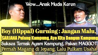 Sukses Ribuan Ternak AYAM KAMPUNG Boy Gurning di Toba dengan Pakan MAGGOT #UsahaInspiratif #Maggot