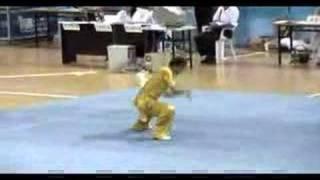 Wushu Master China