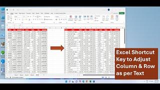 Excel Shortcut Key to Adjust Column & Row as per Text