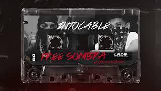 SOMBRA PR x XABDIELL - INTOCABLE  (Visualizer) @prodkortez