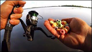 Fall Carp Fishing with Fruit Loops! (Big Fish Love It)