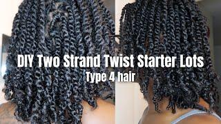 Two Strand Twist Starter Locs | Type 4 Hair, Length Check, Products, Why Now??