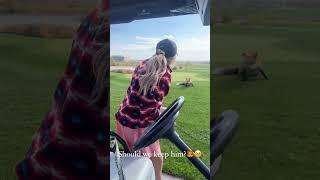 Adorable Fox on Golf Course