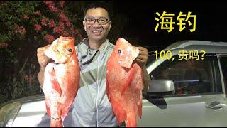 斐济-穷人海钓的天堂，海钓一次100元贵吗？/The poor man's fishing paradise