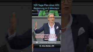 100 Tage Plan #3  #bundestag #neuwahlen #politik #nachrichten