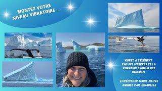 Vibrez à l'élément eau des Icebergs et à la vibration des baleines !!!!!