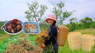 Harvest Peanuts, Making Peanut Milk & Preparing Delicious Dishes From Peanuts | Thu's Country Life