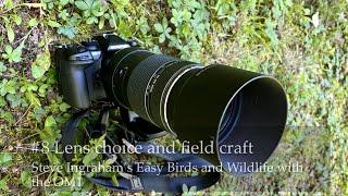 #8 Steve Ingraham’s Easy Birds and Wildlife with the OM Systems OM-1: lens choice and field craft