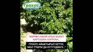 ГРОХУС БИО ЖЕР СЕМИРТКИЧИН ПАЙДАЛАНЫҢЫЗ