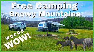 FREE Camping on the SNOWY MOUNTAINS Hwy! PARADISE