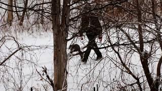 SQUIRREL vs Ribbon (#1) - Nature, CANADA