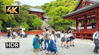 4K Japan Walk | Kamakura Tsurugaoka Hachimangu Shrine | 4K HDR 鎌倉鶴岡八幡宮散歩