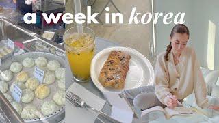 LIVING IN KOREA VLOG  street food, practicing korean, daily work life