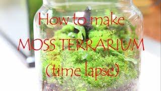 How to make MOSS TERRARIUM (time lapse)