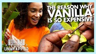 The Complex Reasons Why Vanilla is so Expensive to Grow | Food Unwrapped