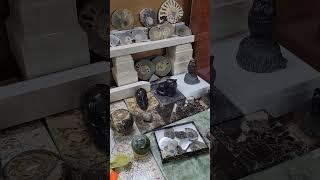 Амониты