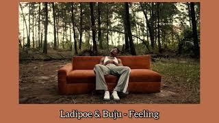 Ladipoe & Buju - Feeling ( s l o w e d + r e v e r b )