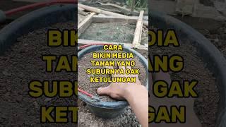 CARA MEMBUAT MEDIA TANAM YANG GACOR #info #tips #kebun #petani #cara #manfaat #pupukorganik #semai