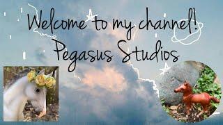 Welcome to my channel! Pegasus Studios