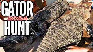 Tagged out in 2 Hours *** A Real Florida Trophy Gator Hunt *** NO BAIT Needed