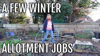 A FEW JANUARY ALLOTMENT JOBS / ALLOTMENT GARDENING UK