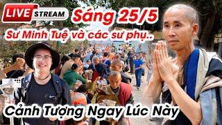 Sư Minh Tuệ và các sư phụ sáng 25/5 diễn biến mới nhất hôm nay