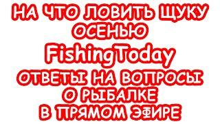 Стрим FishingToday. На что ловить щуку осенью. Ответы на вопросы о рыбалке. Ловля на спиннинг