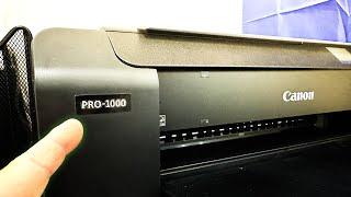 Is The Canon PRO-1000 really THAT expensive to PRINT with?