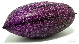 866 Days Timelapse - This Fruit (April-) Fooled Me!