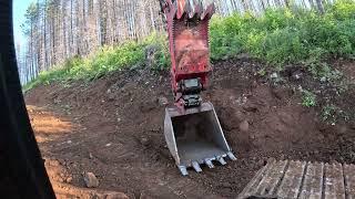 More Pioneering on the logging spur