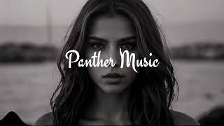 Deep House Mix 2025 Vol 4 Panther Music 2025