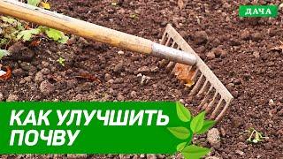 ЭКО-ДАЧА: КАК УЛУЧШИТЬ ПОЧВУ | Как повысить урожайность | Лайфхаки для повышения плодородия