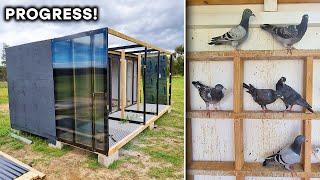 Back Into Our Pigeon Loft Build