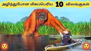 அழிந்துபோன விலங்குகள் || Ten Giant old Animals || Tamil Info Share