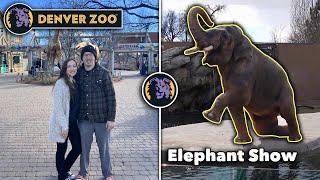 The Denver Zoo Experience (Elephant Show, Tropical Discovery & More)