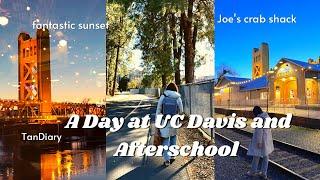 UC Davis vlog: study at international center, Trader Joe’s, sacramento trip, Joe’s crab shack