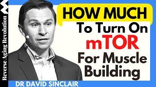 HOW MUCH To Turn On mTOR For MUSCLE BUILDING? | Dr David Sinclair Interview Clips