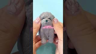 [Repost] It disappeared so I'm reposting! I made a doggie squishy! #shorts #handmade #squishy #do...