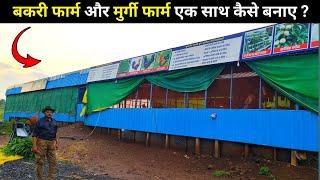 बकरी फार्म + मुर्गी फार्म एक साथ कैसे बनाए? How to make a goat farm and poultry farm shed