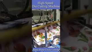 Roll Die Cutting Machine For Paper Cup Blank and Paper Plate Circle