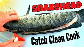 Northern Snakehead Catch Clean & Cook on the Traeger Ironwood 885