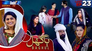 Baghul - Last Episode 23 | Sindh TV Drama Serial | SindhTVHD Drama