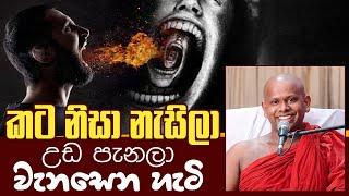 කට නිසා නැසිලා උඩ පැනලා වැනසෙන හැටි | Venerable Welimada Saddaseela Thero