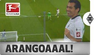 The Special Juan - All of Juan Arango's Goals in the Bundesliga