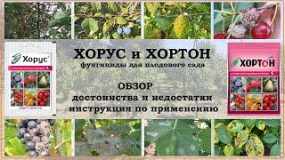 Хорус и Хортон. Обзор фунгицидов